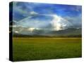 Stretched Canvas