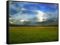 Canvas Black