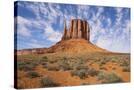 Stretched Canvas
