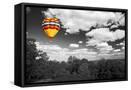 Canvas Black