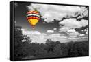 Canvas Black