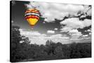 Stretched Canvas