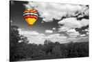 Stretched Canvas