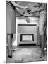 Gas Fire Nibbles-null-Mounted Photographic Print