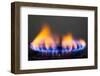 Gas Flame-nikkytok-Framed Photographic Print