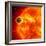 Gas-Giant Exoplanet Transiting Across the Face of Its Star-Stocktrek Images-Framed Photographic Print