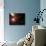 Gas Giant Planet Orbiting the Cool, Red Dwarf Star Gliese 876-Stocktrek Images-Mounted Photographic Print displayed on a wall