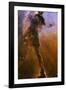 Gas Pillar In the Eagle Nebula-null-Framed Photographic Print