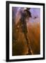 Gas Pillar In the Eagle Nebula-null-Framed Photographic Print