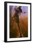 Gas Pillar In the Eagle Nebula-null-Framed Photographic Print