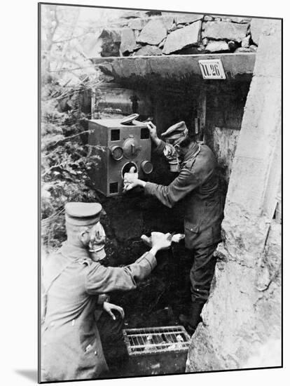 Gas Protection Chamber for Carrier Pigeons Used in German Shelters at the Front, 1917-null-Mounted Photographic Print