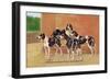 Gascon-Saintongeois Hounds of the Levesque Type-Thomas Ivester Llyod-Framed Art Print