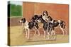 Gascon-Saintongeois Hounds of the Levesque Type-Thomas Ivester Llyod-Stretched Canvas