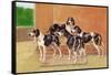 Gascon-Saintongeois Hounds of the Levesque Type-Thomas Ivester Llyod-Framed Stretched Canvas