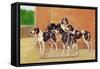 Gascon-Saintongeois Hounds of the Levesque Type-Thomas Ivester Llyod-Framed Stretched Canvas