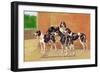 Gascon-Saintongeois Hounds of the Levesque Type-Thomas Ivester Llyod-Framed Art Print