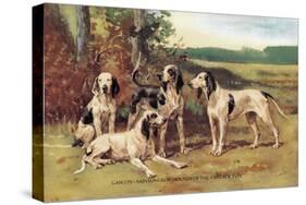 Gascon-Saintongeois Hounds of the Virelade Type-Baron Karl Reille-Stretched Canvas
