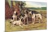 Gascon-Saintongeois Hounds of the Virelade Type-Baron Karl Reille-Mounted Premium Giclee Print