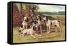 Gascon-Saintongeois Hounds of the Virelade Type-Baron Karl Reille-Framed Stretched Canvas