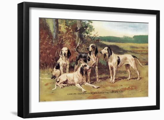 Gascon-Saintongeois Hounds of the Virelade Type-Baron Karl Reille-Framed Art Print