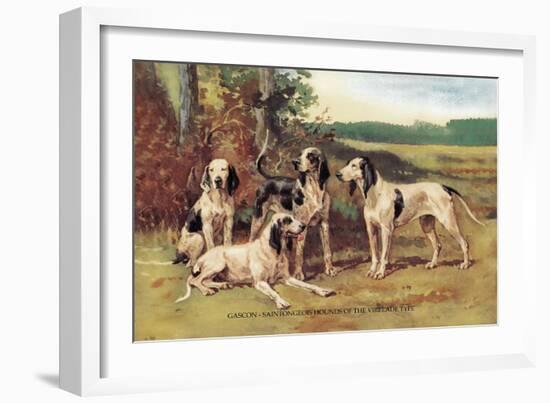 Gascon-Saintongeois Hounds of the Virelade Type-Baron Karl Reille-Framed Art Print