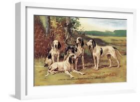 Gascon-Saintongeois Hounds of the Virelade Type-Baron Karl Reille-Framed Art Print