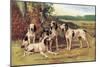 Gascon-Saintongeois Hounds of the Virelade Type-Baron Karl Reille-Mounted Art Print