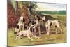 Gascon-Saintongeois Hounds of the Virelade Type-Baron Karl Reille-Mounted Art Print