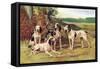 Gascon-Saintongeois Hounds of the Virelade Type-Baron Karl Reille-Framed Stretched Canvas