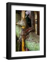 Gasket and Valve-Dana Styber-Framed Photographic Print