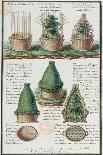 Illustration of a Woven Basket for Transporting Plants-Gaspard Duche de Vancy-Framed Giclee Print