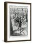 Gassed Soldiers by Steven Spurrier-Steven Spurrier-Framed Art Print