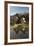 Gassho-Zukuri Folk Houses, Ogimachi Village, Shirakawa-Go, Near Takayama, Central Honshu, Japan-Stuart Black-Framed Photographic Print