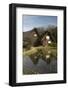 Gassho-Zukuri Folk Houses, Ogimachi Village, Shirakawa-Go, Near Takayama, Central Honshu, Japan-Stuart Black-Framed Photographic Print