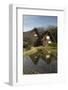 Gassho-Zukuri Folk Houses, Ogimachi Village, Shirakawa-Go, Near Takayama, Central Honshu, Japan-Stuart Black-Framed Photographic Print