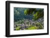 Gassho-zukuri houses and farmland in the mountain, Shirakawa-go, Japan-Keren Su-Framed Photographic Print