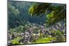 Gassho-zukuri houses and farmland in the mountain, Shirakawa-go, Japan-Keren Su-Mounted Photographic Print