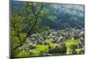 Gassho-zukuri houses and farmland in the mountain, Shirakawa-go, Japan-Keren Su-Mounted Photographic Print