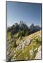 Gastlosen Mountain Range, Bern, Freiburg, Switzerland-Rainer Mirau-Mounted Photographic Print