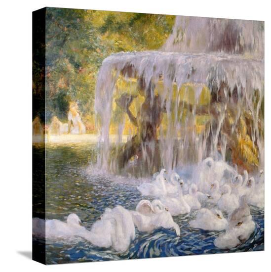 Stretched Canvas Print, , large