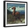 Black Frame