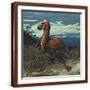 Brown Frame