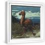 White Frame