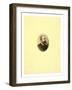 Gaston Tissandier, French Balloonist, Bust-Length Oval Portrait-Henri Thiriat-Framed Giclee Print