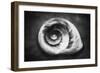 Gastropod Helix-George Oze-Framed Photographic Print