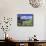 Gate and Cabbage Tree on Otago Peninsula, above MacAndrew Bay and Otago Harbor, New Zealand-David Wall-Framed Stretched Canvas displayed on a wall