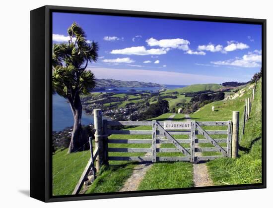Gate and Cabbage Tree on Otago Peninsula, above MacAndrew Bay and Otago Harbor, New Zealand-David Wall-Framed Stretched Canvas