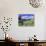 Gate and Cabbage Tree on Otago Peninsula, above MacAndrew Bay and Otago Harbor, New Zealand-David Wall-Stretched Canvas displayed on a wall