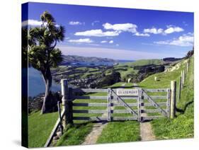 Gate and Cabbage Tree on Otago Peninsula, above MacAndrew Bay and Otago Harbor, New Zealand-David Wall-Stretched Canvas