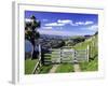 Gate and Cabbage Tree on Otago Peninsula, above MacAndrew Bay and Otago Harbor, New Zealand-David Wall-Framed Photographic Print